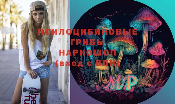 индика Семикаракорск